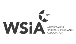 Wholesale & Specialty Insurance Association (WSIA)